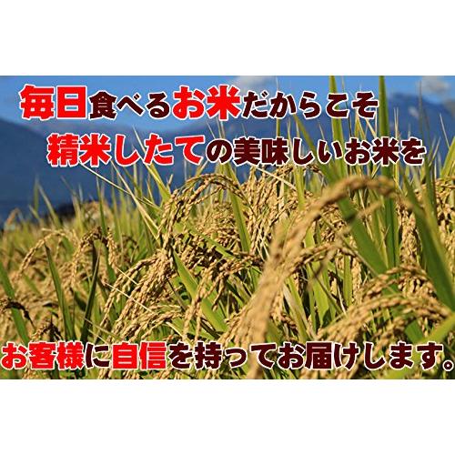 新米 埼玉県産 白米 ブレンド米 10kg (5kg×2) 埼玉でとれたお米 5年産