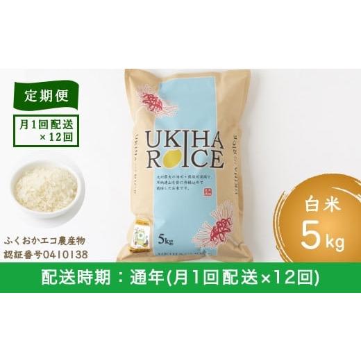 ふるさと納税 福岡県 うきは市 P403-05 みずほファーム UKIHA RICE (白米5kg×12ヶ月)