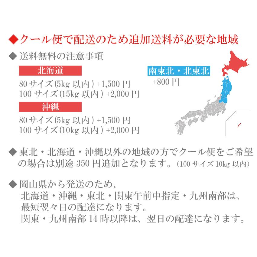 季節のフルーツ 詰め合わせ マスクメロン入り （画像送信サービス付き） 贈答用 ギフト プレゼント 贈り物 御礼 御祝 内祝 御供 フルーツ 日にち指定OK