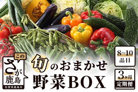 旬のおまかせ 野菜BOX 野菜定期便 旬の野菜 詰め合わせ 野菜 新鮮 野菜8～10品目 C-47