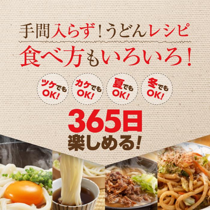 選べる3種類のうどんつゆ 本場 讃岐うどん 6人前 つゆ付きセット 旨い 香川県 さぬきうどん お取り寄せ 訳アリ もちもち つるつる お土産 ポイント消化