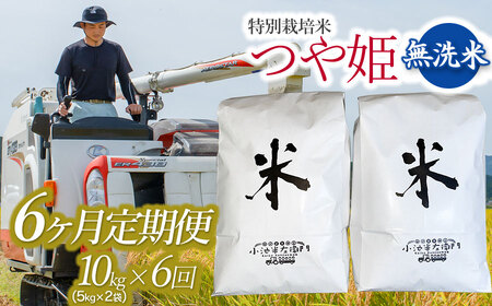 令和5年産 新米 山形県庄内産 小池半左衛門のお米 特別栽培米 つや姫 無洗米10kg(5kg×2)×6回（計60kg）