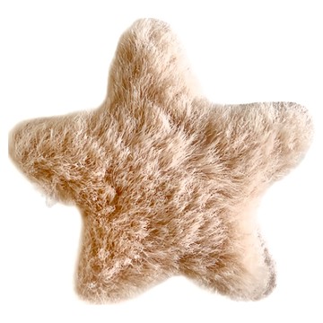 可愛bb夾 20個  淺咖啡色