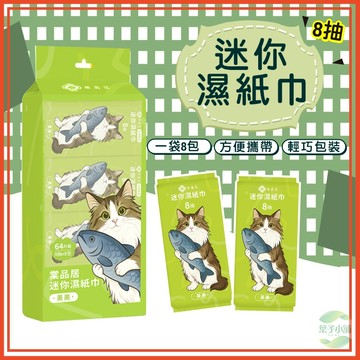 🔥隔日到貨🔥棠品居迷你濕紙巾 濕紙巾 溼紙巾 小包濕紙巾 隨身濕紙巾 迷你濕紙巾 純水濕紙巾 濕巾  隨身包濕紙巾