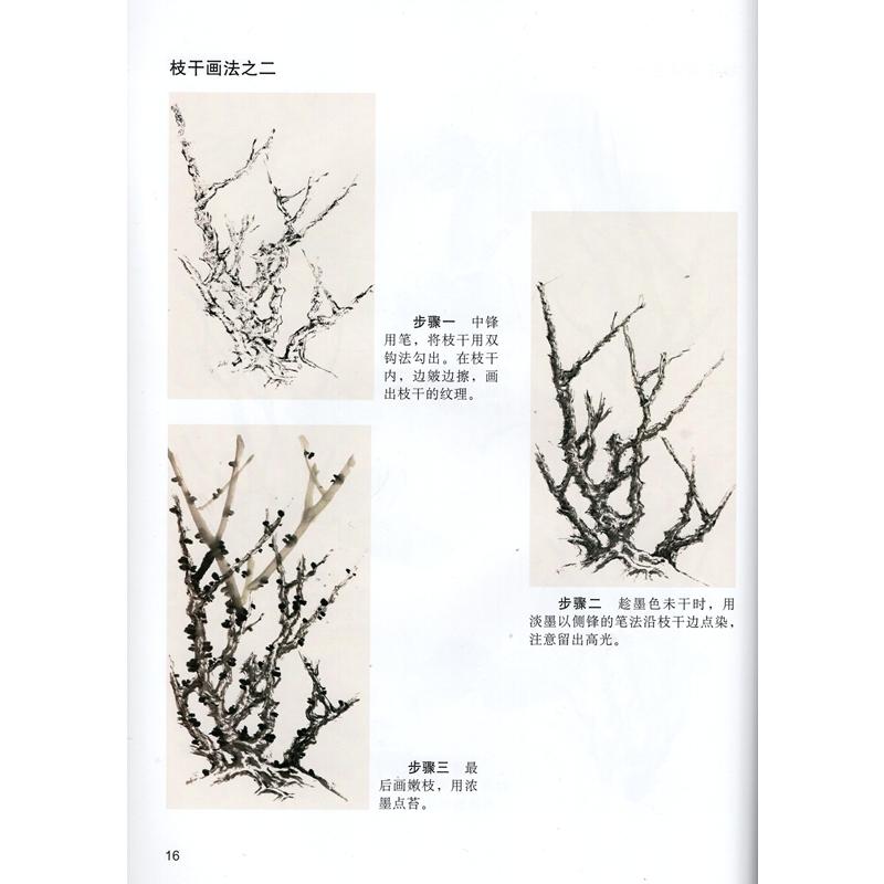 七彩牡丹　中国画初心者技法　中国絵画 七彩牡丹　国画初学技法