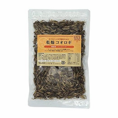 乾燥 コオロギ 50g 約500匹 600匹 イエコオロギ 食用 爬虫類 観賞魚 小動物 鳥類の餌に 通販 Lineポイント最大get Lineショッピング