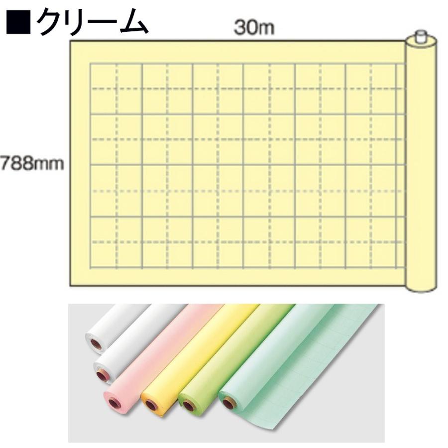 maruai マルアイ 模造紙 クリーム ロール 大判 マス目 50mm 方眼紙 788mm幅 30m巻 マ-53C