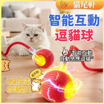 自動逗貓球 逗貓球 互動逗猫玩具球 自動逗貓溜溜球 寵物玩具 自動避障逗貓球 貓咪解壓玩具 室內貓咪玩具 貓咪互動玩具
