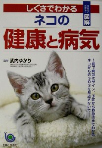  しぐさでわかるネコの健康と病気 ひと目でわかる！図解 ひと目でわかる！図解／武内ゆかり