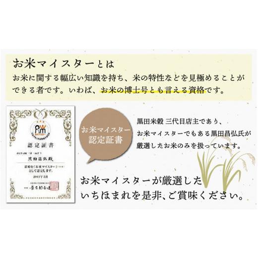 ふるさと納税 福井県 鯖江市 令和5年産 いちほまれ 10kg × 6回  計60kg （2月上旬、3月上旬、4月上旬、5月上旬、6月上旬、7月上…