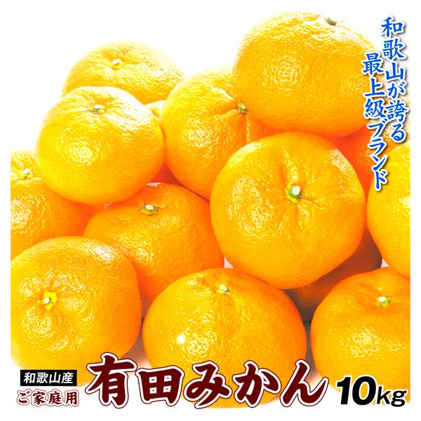 みかん 10kg 有田みかん 和歌山産 ご家庭用 蜜柑 送料無料 食品