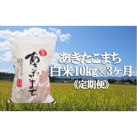 ふるさと納税  精米 10kg （3ヶ月定期便） ／ 新米 白米 産地直送  岩手県八幡平市