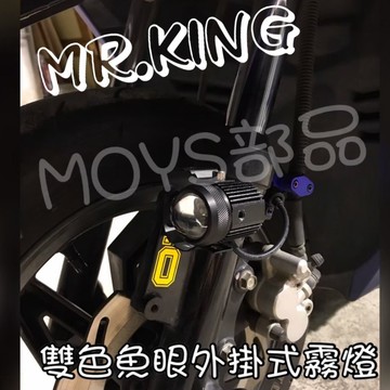G016 外掛式防水雙色小魚眼霧燈 FORCE JETS DRG TIGRA200 小阿魯 重機 速可達