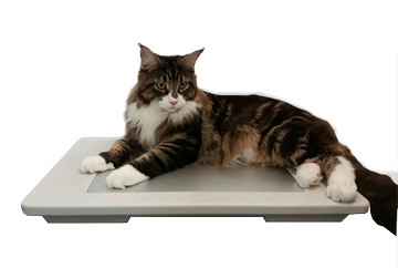 寵物首選 Beetle 30X40cm 複合式寵物犬貓專用冰暖墊 3040IWP 經濟型冰暖墊 涼暖墊  寵物冰涼墊【APP滿額下單10%點數(單一帳號最高5000點)】1/31止