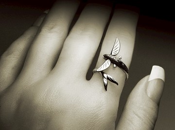 飛魚戒指