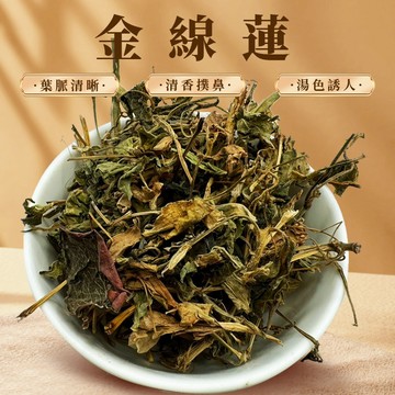 【本草養生】金線蓮｜60g｜人工洗淨｜新鮮製作｜可泡茶、煮湯