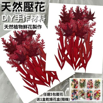 【A-ONE】紅葉花包 壓花 壓花書籤 乾燥壓花 書籤DIY 押花 壓花材料 壓花DIY 樹葉書籤 永生花材