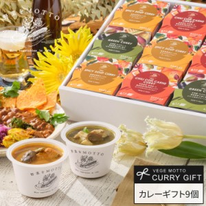 お歳暮 ギフト 冬 御歳暮 野菜をMOTTO カレー 9個 セット ｜ 国産 野菜 本格 カレー レトルト グリーンカレー チリコンカン スープカレー