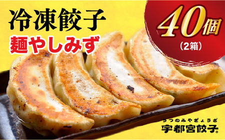 　餃子20個入り×2箱