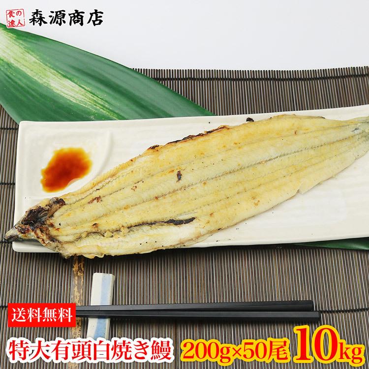 うなぎ 白焼き 有頭腹開き 特大 200g×50尾 10kg 業務用 中国産 送料無料 冷凍便 鰻 お取り寄せ