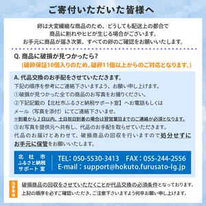 ふるさと納税 ハイチックのたまご　160個（破卵保証10個含む） 山梨県北杜市