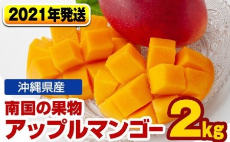 南国の果物　沖縄県産アップルマンゴー　2kg