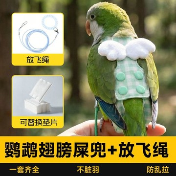 💕在臺出貨🔥鸚鵡尿不溼屎兜小太陽和尚屁兜衣服一次性拉屎神器飛行服放飛繩 鸚鵡尿布衣 鸚鵡尿布 和尚鸚鵡尿布 凱克鸚鵡尿布