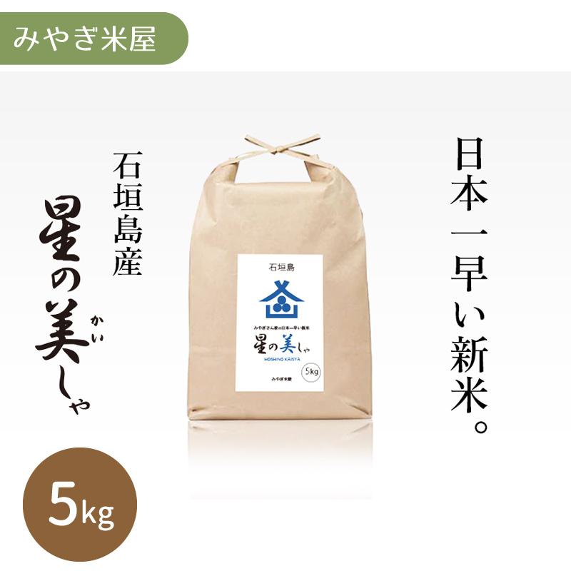 令和５年産新米！石垣島産 星の美しゃ（ほしのかいしゃ）5kg