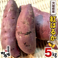 さつまいも 「 紅はるか 」 5kg 旬 甘い 芋 いも サツマイモ スイーツ 野菜