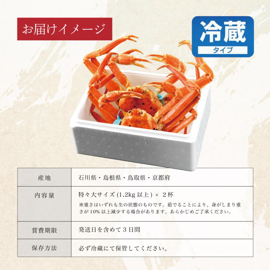 かに カニ 蟹 ずわい蟹 ズワイガニ ずわいがに 姿 国産 送料無料 取り寄せ お歳暮 ギフト プレゼント 贈り物 お祝い 贈答 特々大サイズ 1.2kg以上 2杯