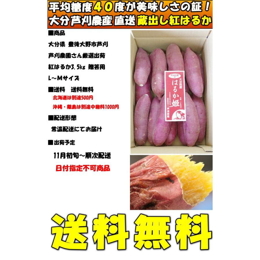 さつまいも 紅はるか 3.5kg  l〜m or S 甘い 熟成 贈答用 お歳暮 大分 芦刈農産 ねっとり ギフト プレゼント