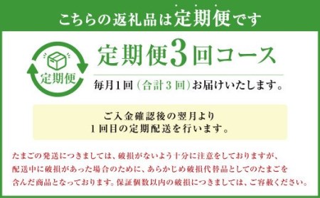  球磨球子 60個入 卵 たまご 鶏卵