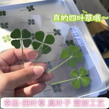 臺灣出🔥透視四葉草掛飾 小清新亞克力透卡掛件 可愛少女拍照裝飾閨蜜禮物