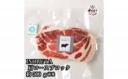 イノブタ　塊肉　肩ロース or ロース 約500g