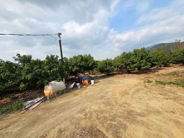 杉林臨路地形漂亮優質農地｜高雄市杉林區十張?段