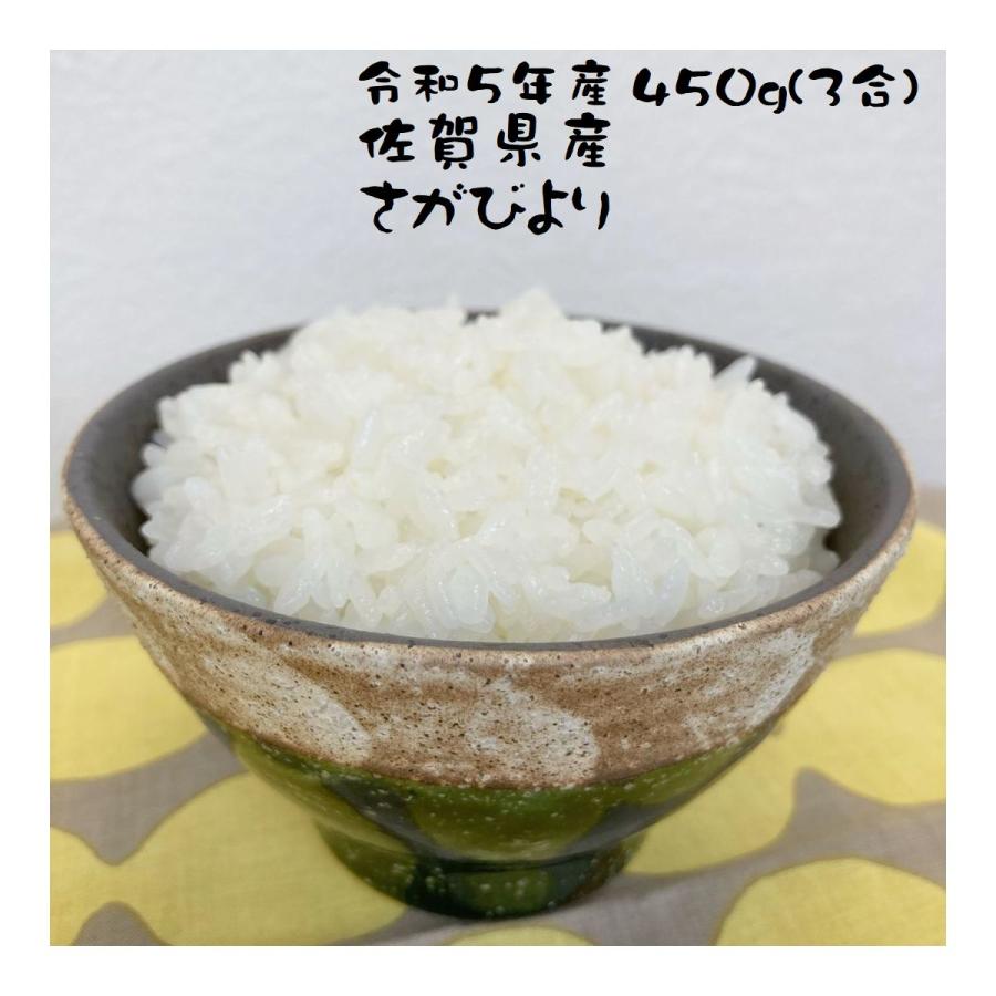 お米 お試し (450g) ポイント消化 さがびより 3合 令和5年産