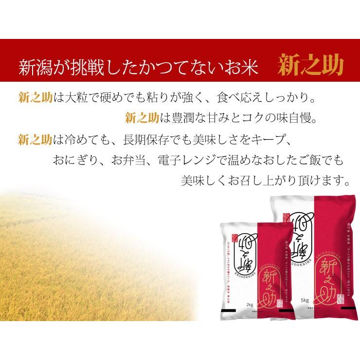 新米 新之助 白米 2kg 新潟産 (新潟 新潟米 お米  令和5年産 R5）