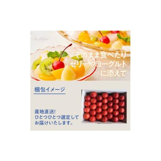 ふるさと納税 山梨県 北杜市 極上品大玉・さくらんぼ 2L〜3L一段並 約300g／毎日農業記録賞・全国最優秀賞受賞