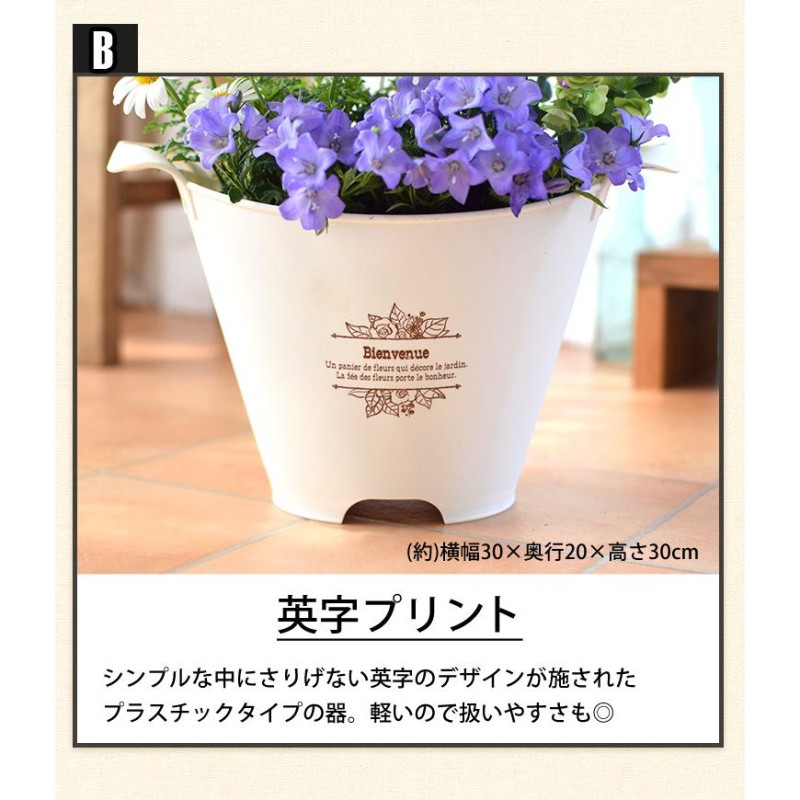 プランターが選べる 季節のおまかせ寄せ植えS 旬のお花をたっぷり寄せ