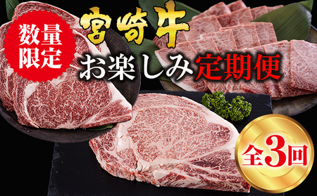  宮崎牛 ロースステーキ 600g 肩焼肉 400g ワンポンドステーキ 454g牛肉  冷凍 送料無料 国産 牛肉 黒毛和牛 A5 A4等級 ブランド 定期便 牛肉 牛 肉 霜降り バーベキュー キャンプ 焼肉 BBQ 宮崎県産 ステーキ 母の日 父の日 プレゼント ギフト 牛肉 定期便 贈り物 3ヶ月 セット ステーキ 焼肉 牛肉 定期便