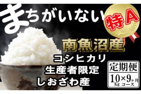 生産者限定 契約栽培　南魚沼しおざわ産コシヒカリ（10Kg×9ヶ月）