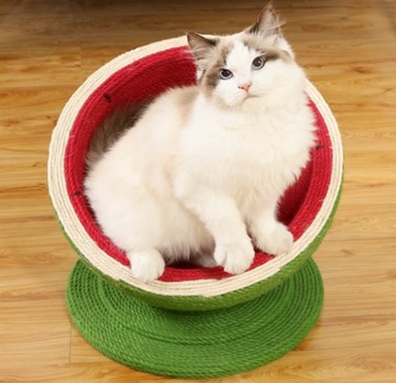 【寵家 Pet Home】寵家 Pet Home 🍉西瓜造型貓抓板 貓窩麻劍繩