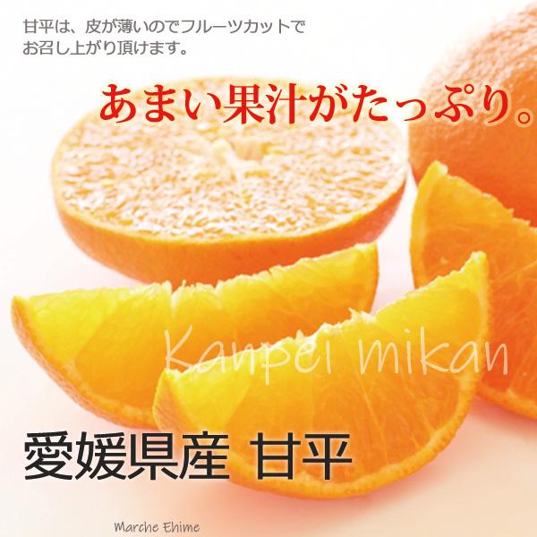 甘平みかん 秀品 L 約3kg 愛媛 贈答 化粧箱 フルーツ ギフト かんぺい みかん 箱買い 一部地域 送料無料