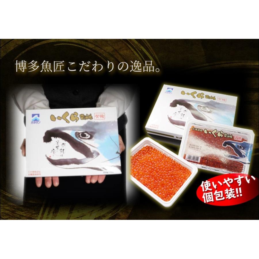 北海道産 いくら 有機醤油漬け 500g 250g×2個 高級 イクラ 海鮮 鮭 丼 贈答品 送料無料