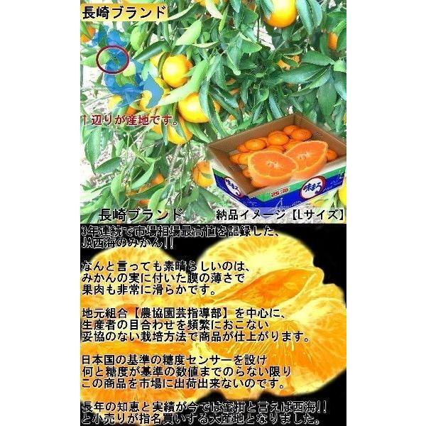 味まる蜜柑 約3kg 秀品〜優品 JAながさき西海 贈答可能 光センサー選果で糖度12度保障！長崎県が誇る有名ブランド、西海みかん