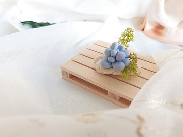 仿真黏土多肉 月美人 小盆