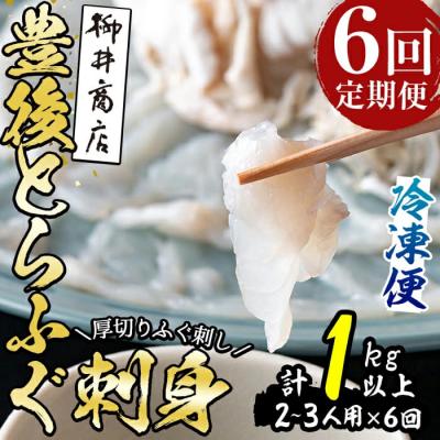 ふるさと納税 佐伯市 とらふぐ刺身 (総量約1kg・2-3人用×6回)