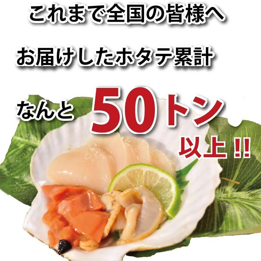 天然 ほたて 生貝柱 3玉殻乗せ 北海道 野付産 ホタテ 帆立 ほたて 貝柱 北海道産 父の日