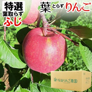 無袋栽培葉とらずふじ 青森産りんご（約10kg）無化学肥料【12月新