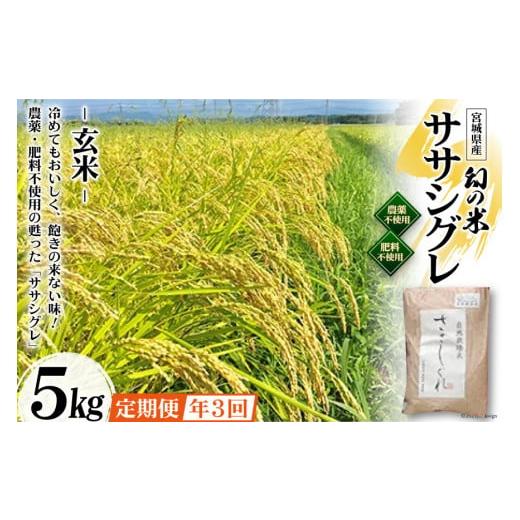 ふるさと納税 宮城県 加美町 3回 定期便 希少品種米 ササシグレ 玄米 5kg×3回 総計15kg   長沼 太一   宮城県 加美町